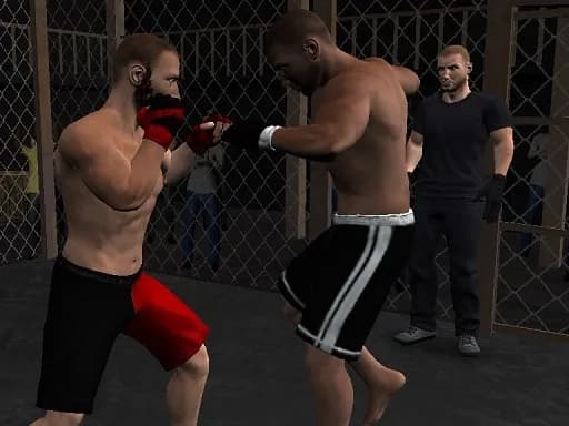 Tartışmasız MMA