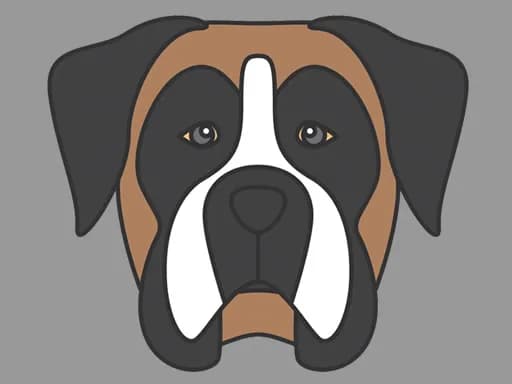 Köpek Yüzü Boyama